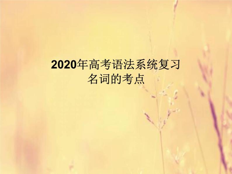 2020高考英语语法复习课件：名词01