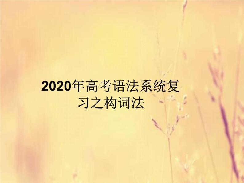 2020高考英语语法复习课件：构词法01