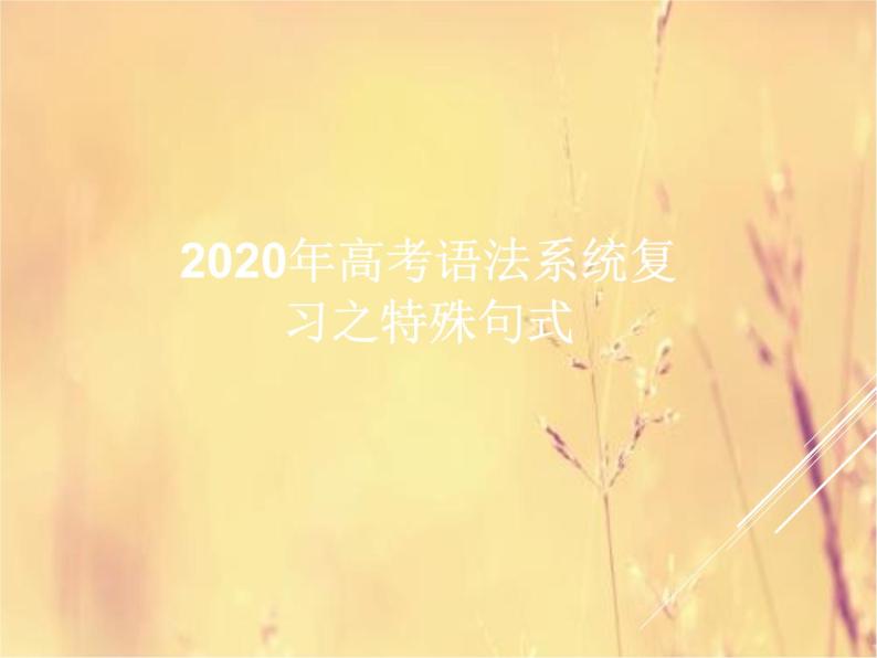 2020高考英语语法复习课件：特殊句式01