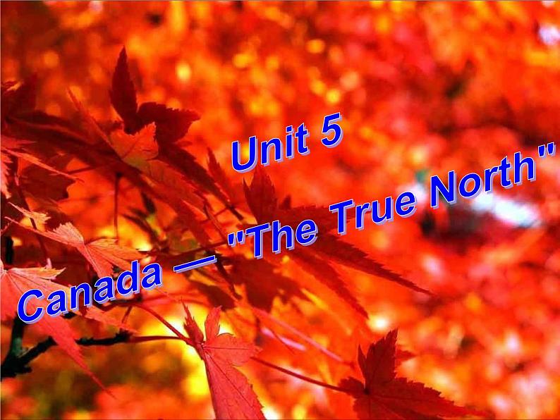 人教版英语必修3-unit5-Grammar(共23张PPT)02