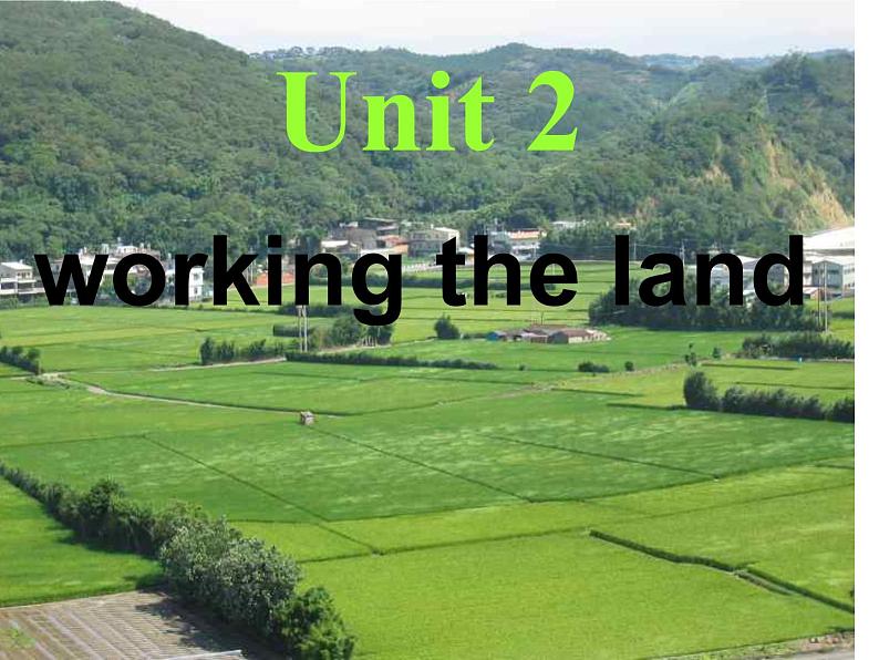 人教版英语必修四unit2Woking-the-land-Reading(共24张PPT)01