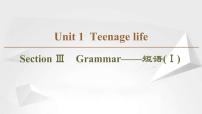 （新）人教版高中英语必修第一册优秀PPT课件：Unit 1 Section Ⅲ Grammar——短语（Ⅰ）