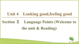 （新）牛津译林版高中英语必修第一册课件：Unit 4 Section Ⅱ　Language Points （Welcome to the unit & Reading）