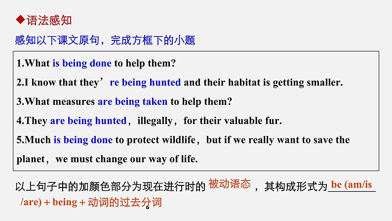 Unit 2 Wildlife protection 精品讲义课件Period Three Discovering Useful Structures—The present continuous passive voice04