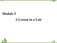 高中英語外研版必修1Module 5 A Lesson in a Lab優(yōu)秀ppt課件