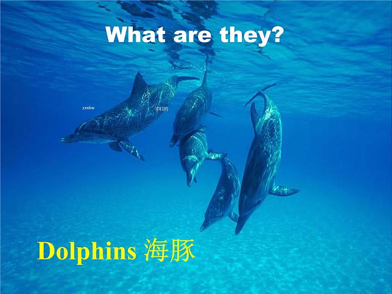 高中英语课件 选修七:U3 Warming up&Pre-reading04