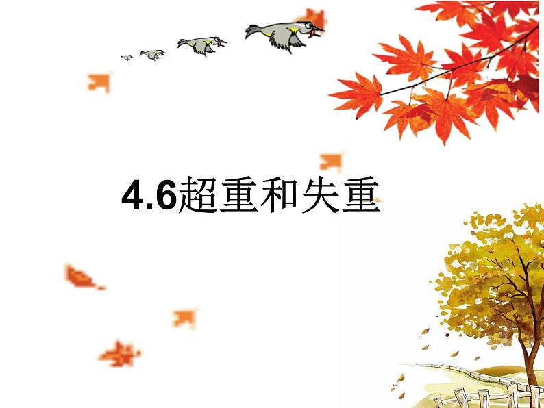 4.6 超重和失重— 【新教材】人教版(2019)高中物理必修第一册课件01