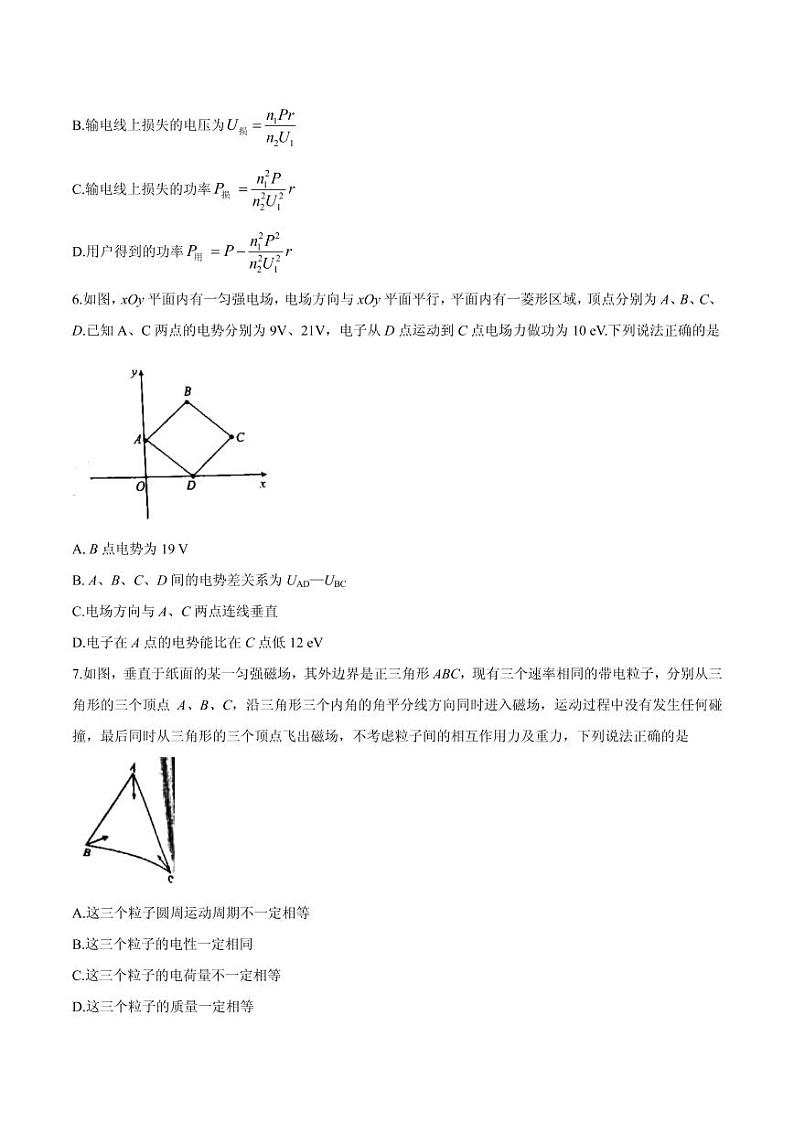 2021届福建省漳州市高三毕业班下学期第一次教学质量检测物理试题 PDF版第3页