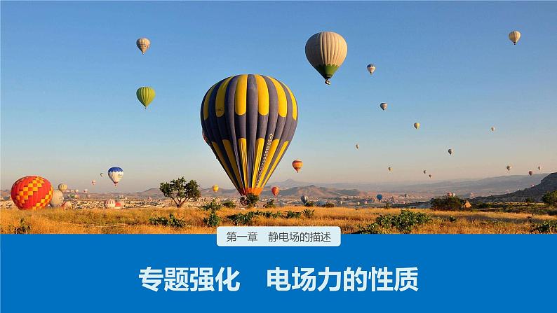 第一章 专题强化 电场力的性质课件+练习01
