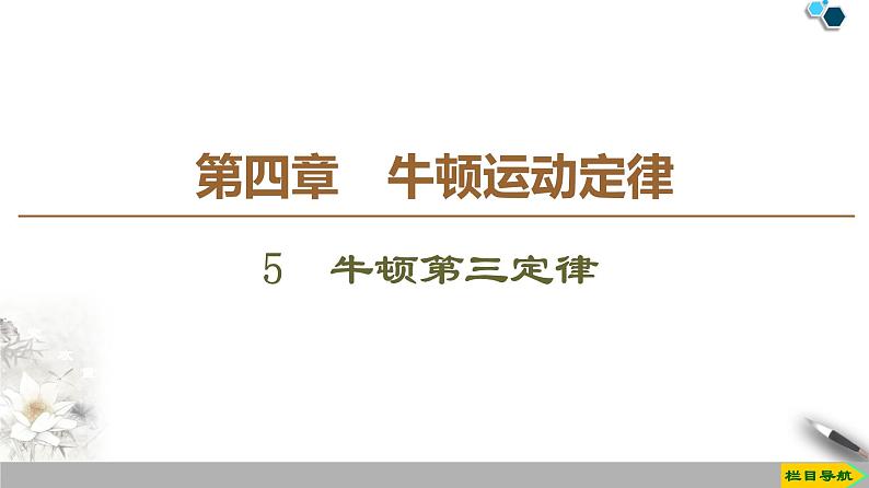 第4章 5 牛顿第三定律--人教版(新课标)高中物理必修1课件01