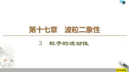 第17章 3　粒子的波动性--2021年人教版（新课标）高中物理选修3-5课件