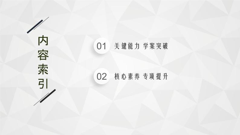 22届高中物理一轮总复习 专题4　带电粒子在电场中运动的综合问题（新高考）课件PPT02