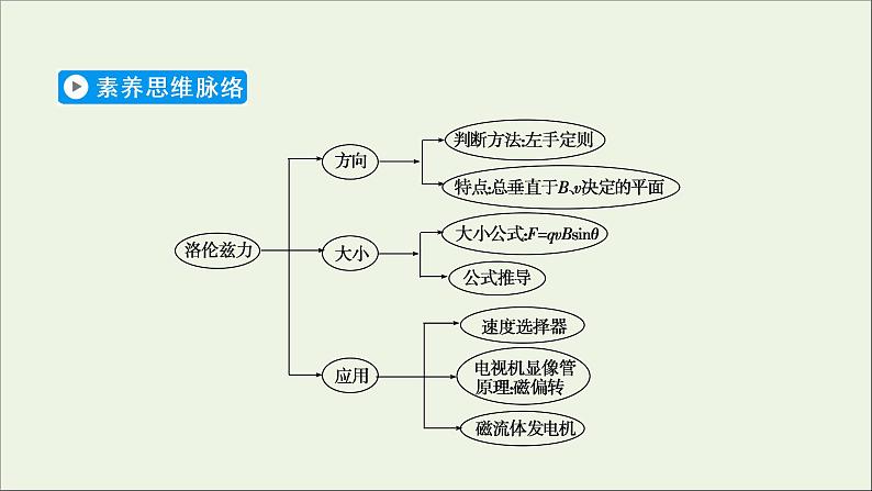 2020_2021学年高中物理第三章磁场5运动电荷在磁场中受到的力课件新人教版选修3_120200904139903