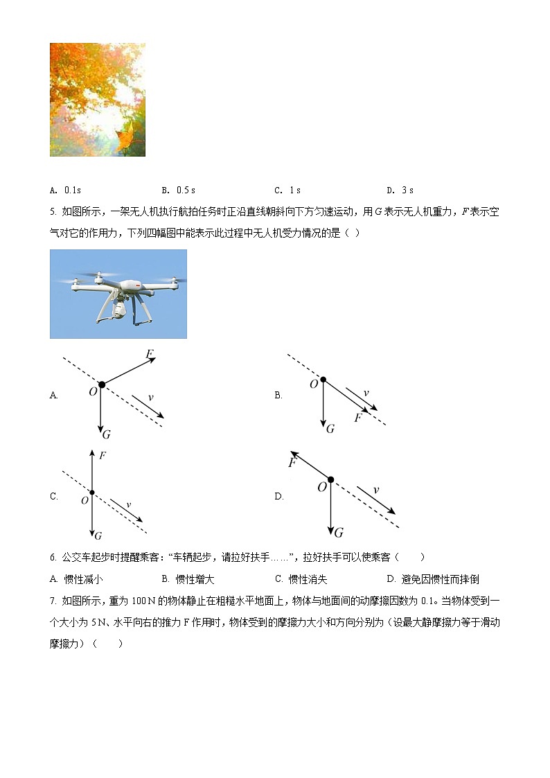 天津市滨海新区期末物理试题(原卷版)第2页