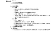 2020-2021学年3 运动快慢的描述──速度学案设计