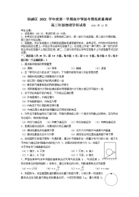 2022届上海市杨浦区高三上学期等级考模拟质量调研（一模）考试物理试卷 含答案
