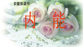 高中人教版 (新课标)5 内能教学演示课件ppt