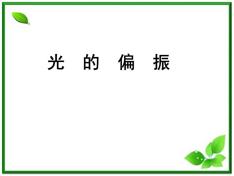 《光的偏振》课件三(15张PPT)01
