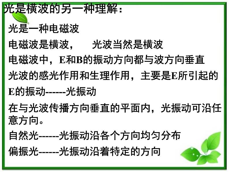 《光的偏振》课件三(15张PPT)06