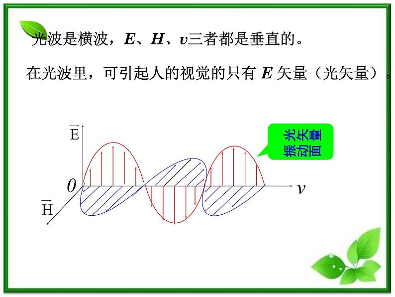 《光的偏振》课件三(15张PPT)07