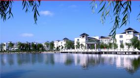 人教版 (新课标)选修34 碰撞示范课ppt课件