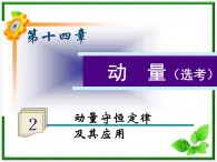 福建省高二物理一轮精品课件（新课标）：动量守恒定律及其应用