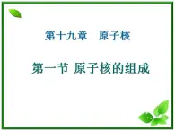 《原子核的组成》课件二（15张PPT）