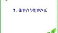 高中人教版 (新课标)3 饱和汽与饱和汽压备课课件ppt