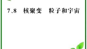 人教版 (新课标)选修36 核裂变复习课件ppt