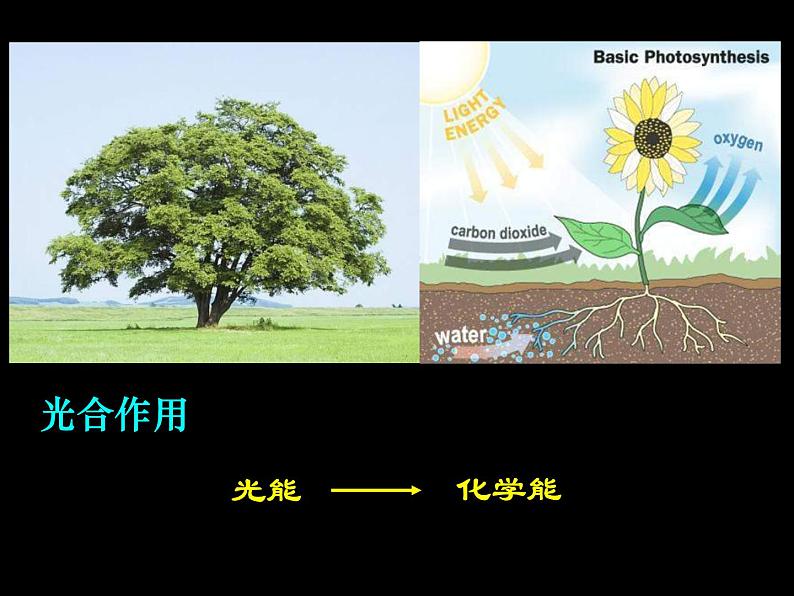 人教版(新课标)高中物理必修二第七章机械能守恒定律——能量守恒定律与能源课件PPT07