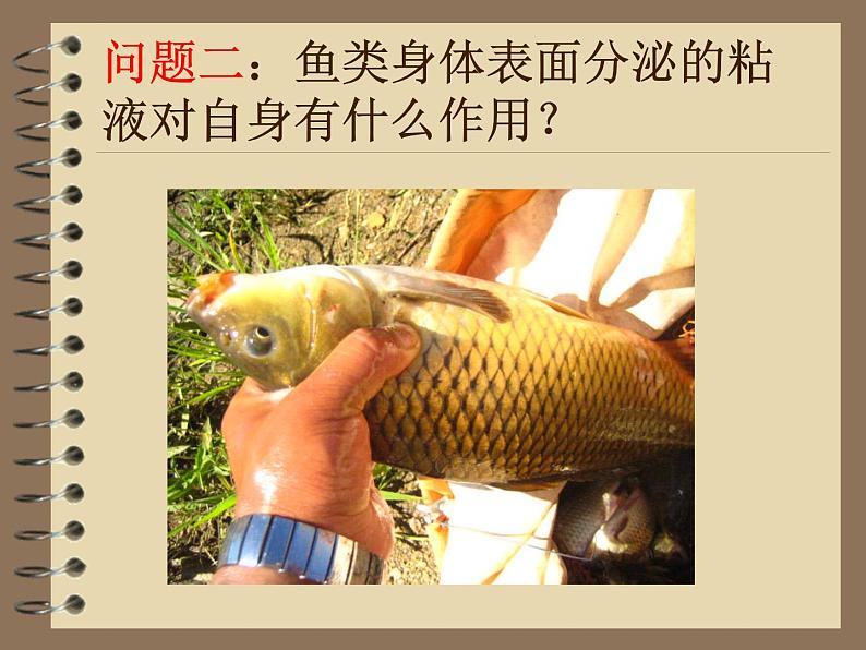人教版(新课标)高中物理必修一第三章相互作用——摩擦力说课稿课件PPT04