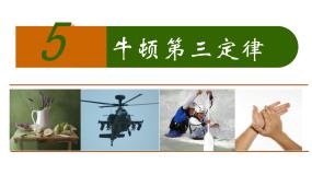 人教版 (新课标)必修15 牛顿第三定律说课课件ppt