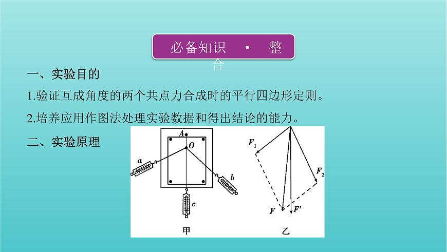 課標(biāo)版2022年高考物理總復(fù)習(xí)第二章力的相互作用實驗三驗證力的平行四邊形定則課件第2頁
