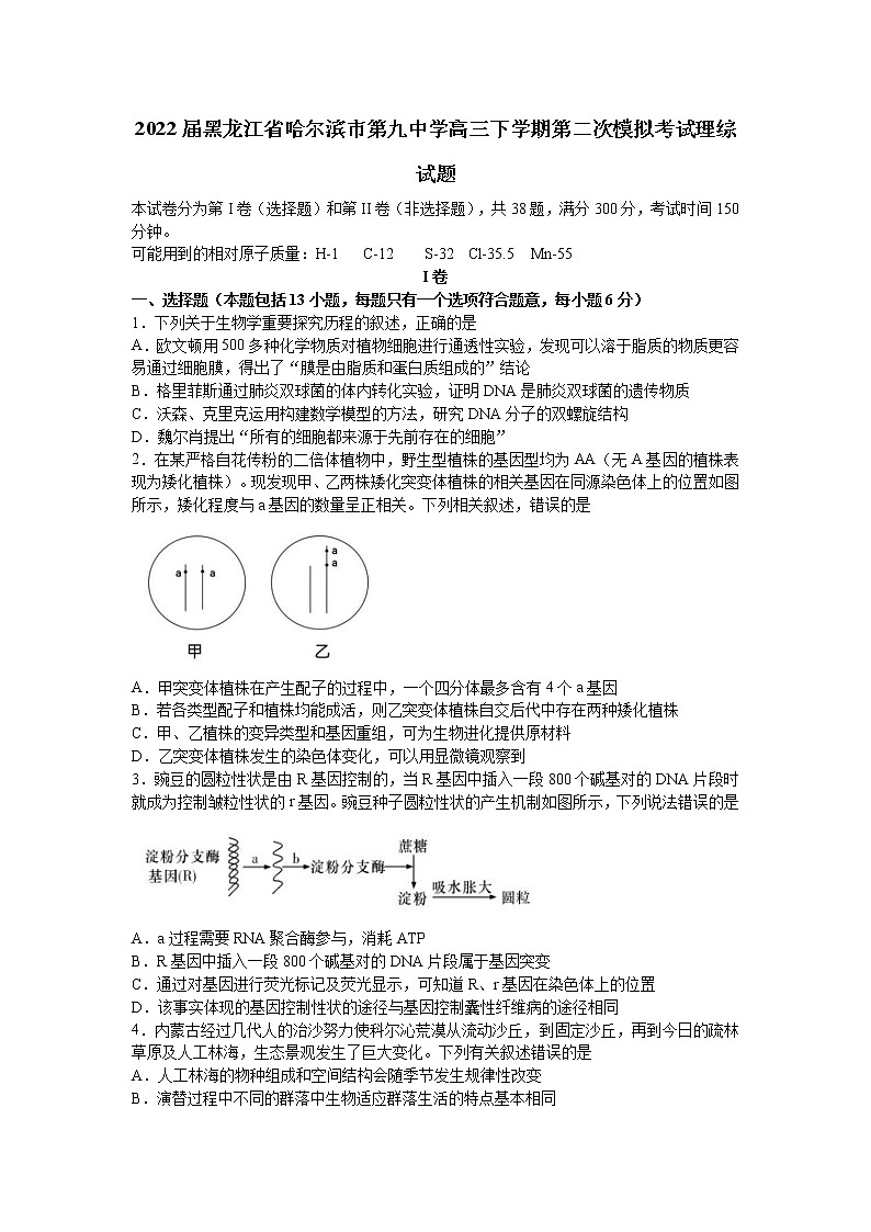 2022届黑龙江省哈尔滨市第九中学高三下学期第二次模拟考试理综试题01