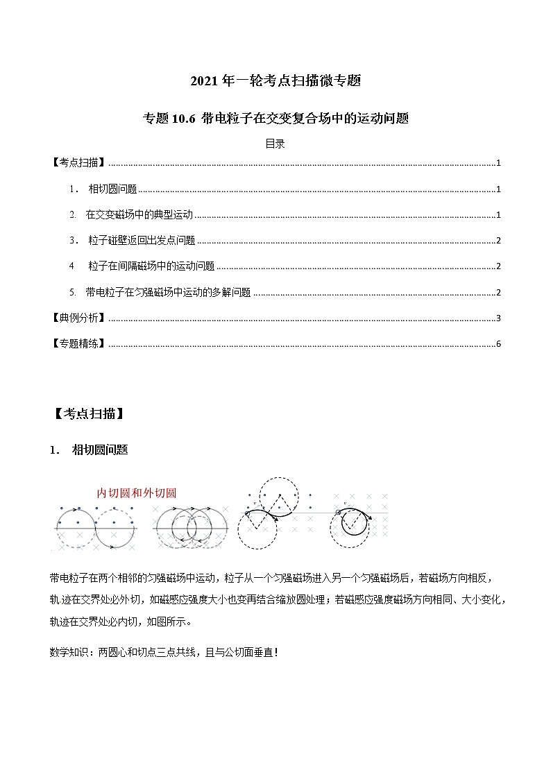 专题10.6 带电粒子在交变复合场中的运动问题-2021年高考物理一轮复习考点扫描学案01