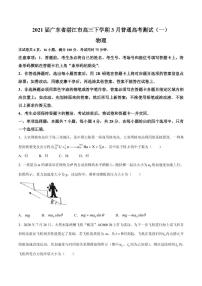 2021届广东省湛江市高三下学期3月普通高考测试（一）物理试题 PDF版