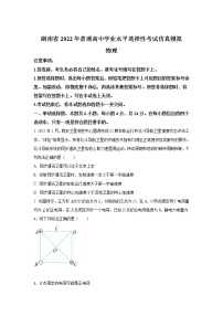 2021-2022学年湖南省普通高中高二学业水平选择性模拟考试物理试题（Word版）