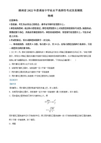 2021-2022学年湖南省普通高中学业水平选择性考试仿真模拟物理试题（解析版）
