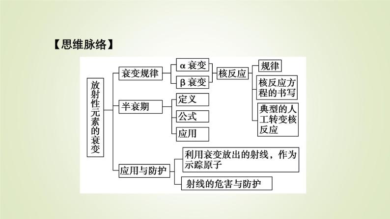 新人教版高中物理选择性必修第三册第五章原子核2放射性元素的衰变课件06