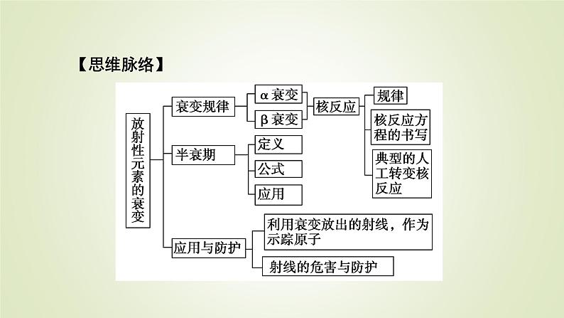 新人教版高中物理选择性必修第三册第五章原子核2放射性元素的衰变课件06