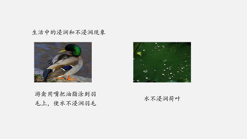 人教版(2019)高中物理选择性必修第三册_液体 课件3(541592)08