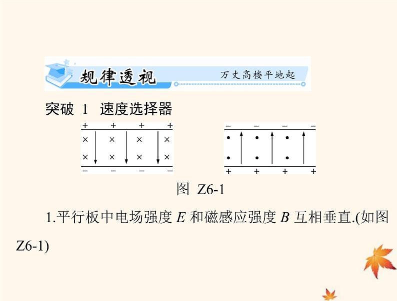 2023版高考物理一轮总复习第十章专题六带电粒子在复合场中运动的科技应用课件第2页