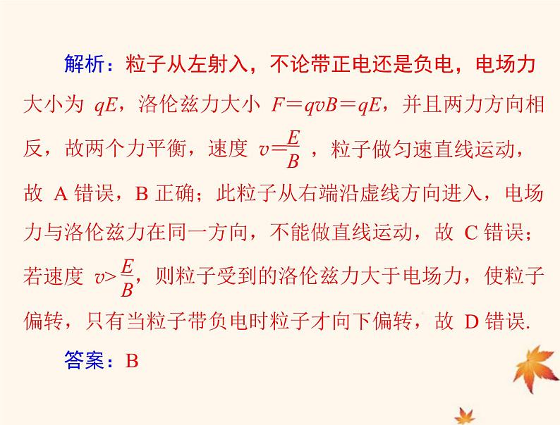2023版高考物理一轮总复习第十章专题六带电粒子在复合场中运动的科技应用课件第5页