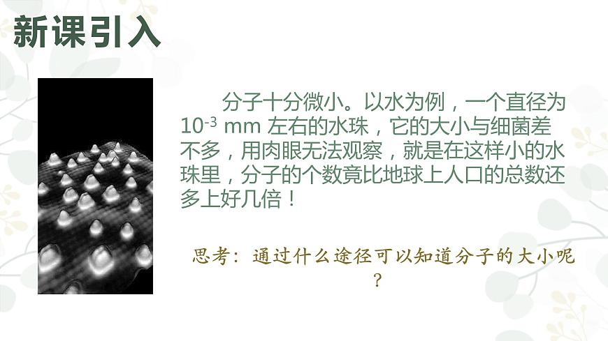 高中物理 選擇性必修三 實(shí)驗(yàn)：用油膜法估測(cè)油酸分子的大小 課件第2頁(yè)