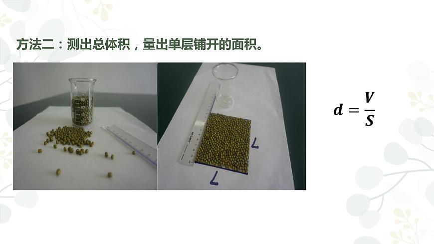高中物理 選擇性必修三 實(shí)驗(yàn)：用油膜法估測(cè)油酸分子的大小 課件第5頁(yè)