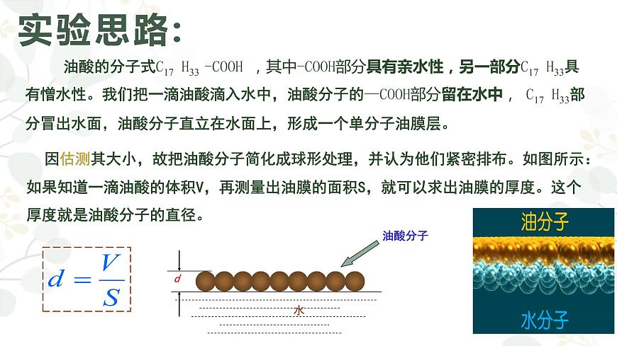 高中物理 選擇性必修三 實(shí)驗(yàn)：用油膜法估測(cè)油酸分子的大小 課件第7頁(yè)