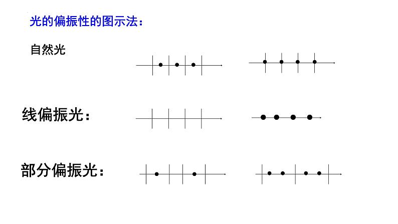 2021-2022学年高二物理竞赛课件:光的偏振性和反射和折射光的偏振06