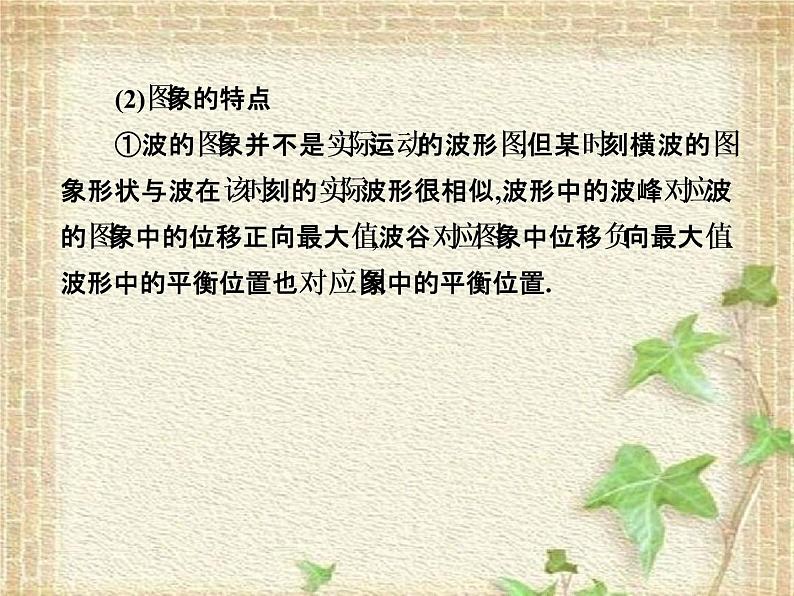 2022-2023年高考物理一轮复习 波的图像 课件第7页