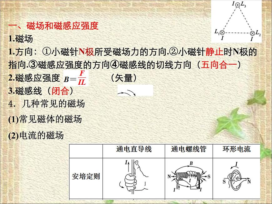 2022-2023年高考物理一輪復習 磁場(2) 課件第2頁