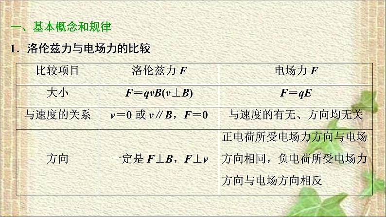 2022-2023年高考物理一轮复习 磁场 课件第2页